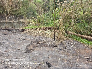 Avaliação de imóveis rurais e urbanos - Foto 1